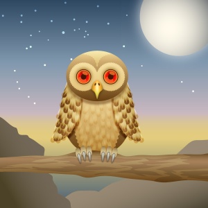 Owl[1]